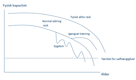 INDS&AElig;T-BILLEDTEKST-HER