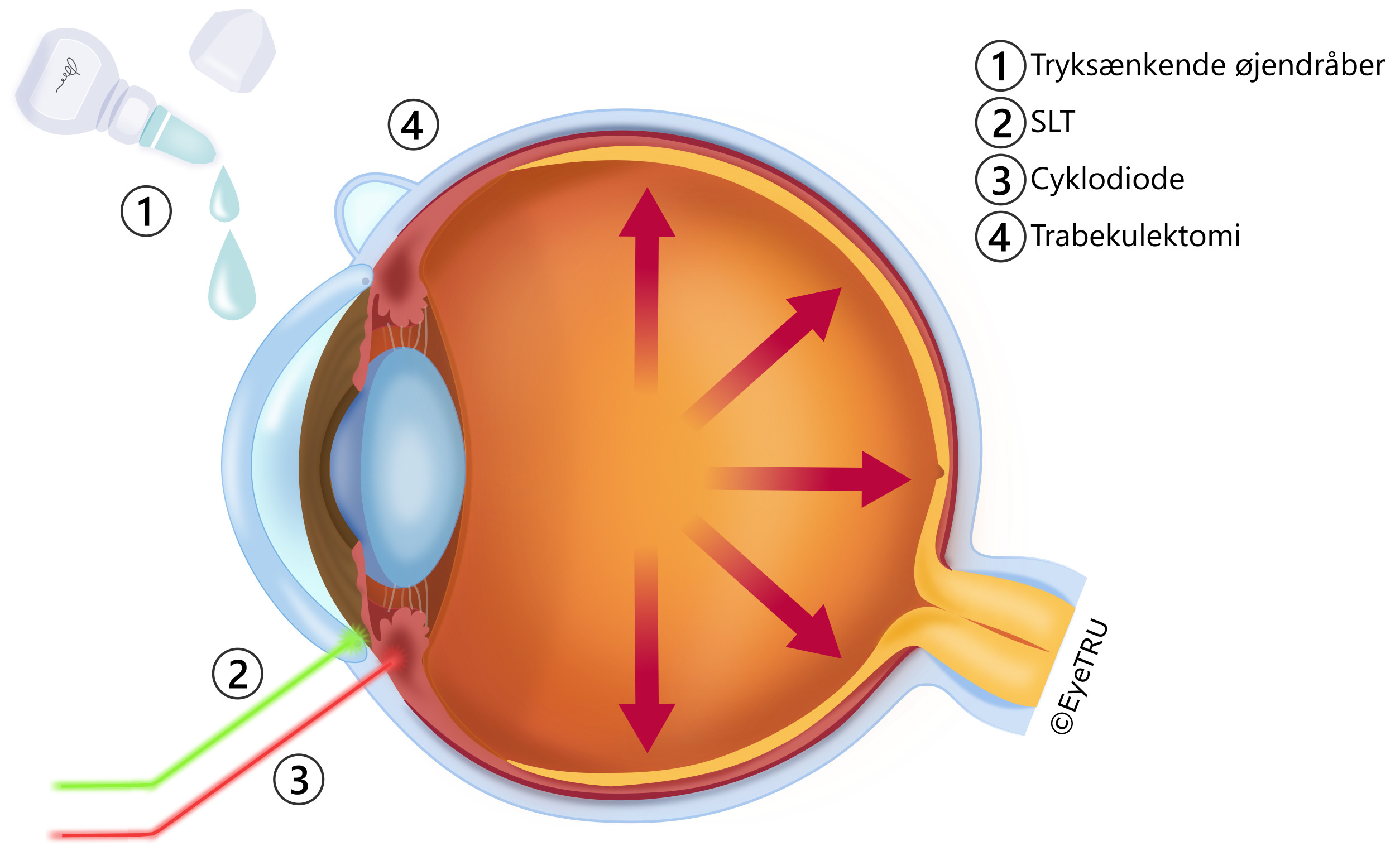 Illustrationer af Zaynab Ahmad Mouhammad, medicinstuderende p&aring; K&oslash;benhavns Universitet