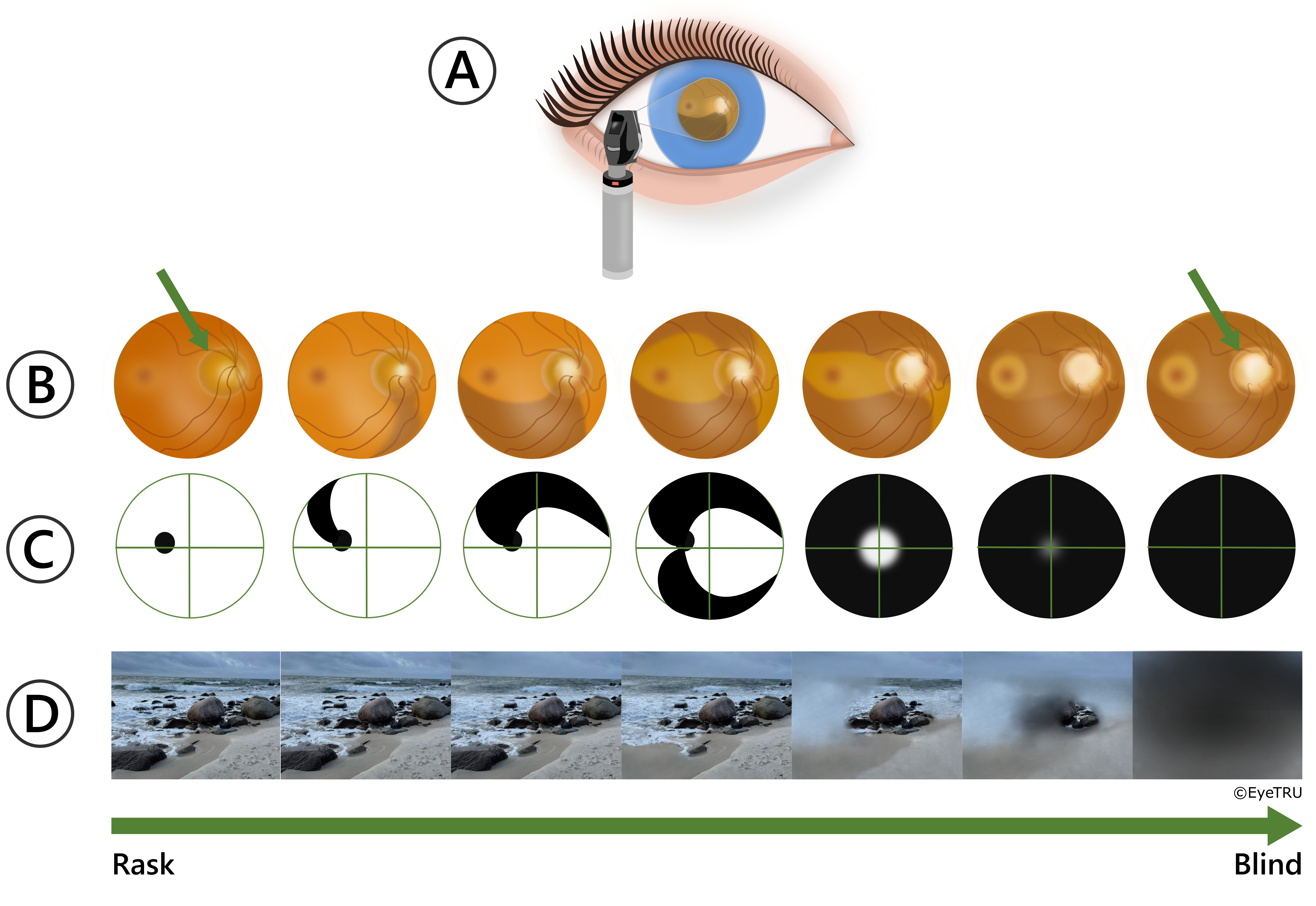 Illustrationer af Zaynab Ahmad Mouhammad, medicinstuderende p&aring; K&oslash;benhavns Universitet