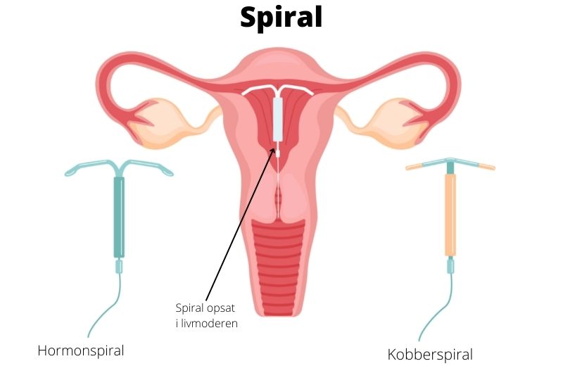 Illustration af spiral Illustration af spiral